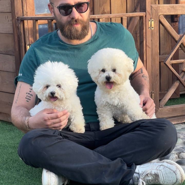 مولد نژاد بیشان فریزی ژانت(Janet)